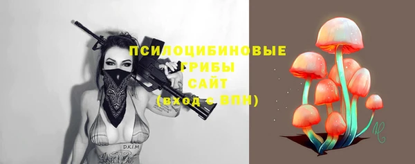 кокс Белокуриха