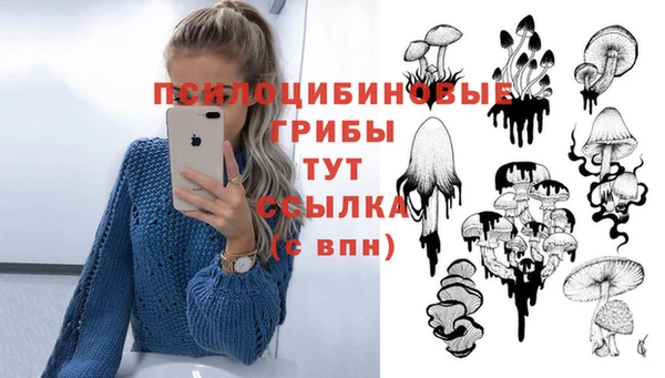 ешки Беломорск