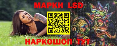 спиды Кинель