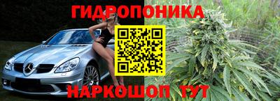 спиды Кинель