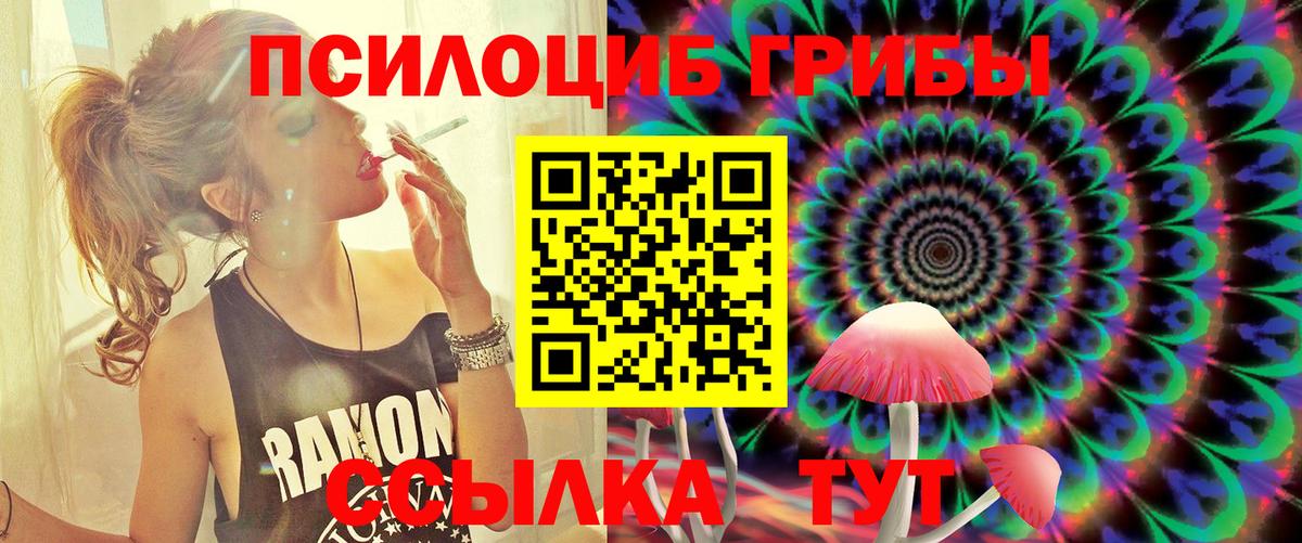 Псилоцибиновые грибы Magic Shrooms  Галлюциногенные грибы прущие грибы  Лыткарино  Вход с VPN 