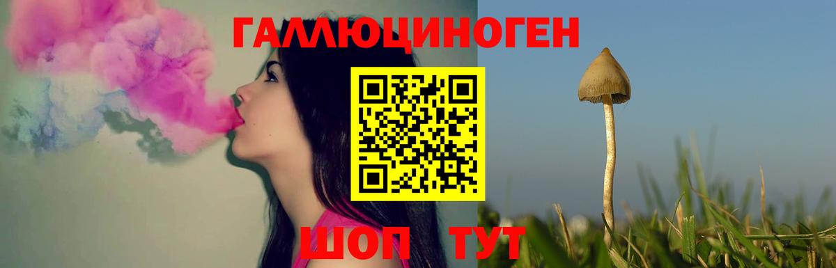 Псилоцибиновые грибы Psilocybe Лыткарино